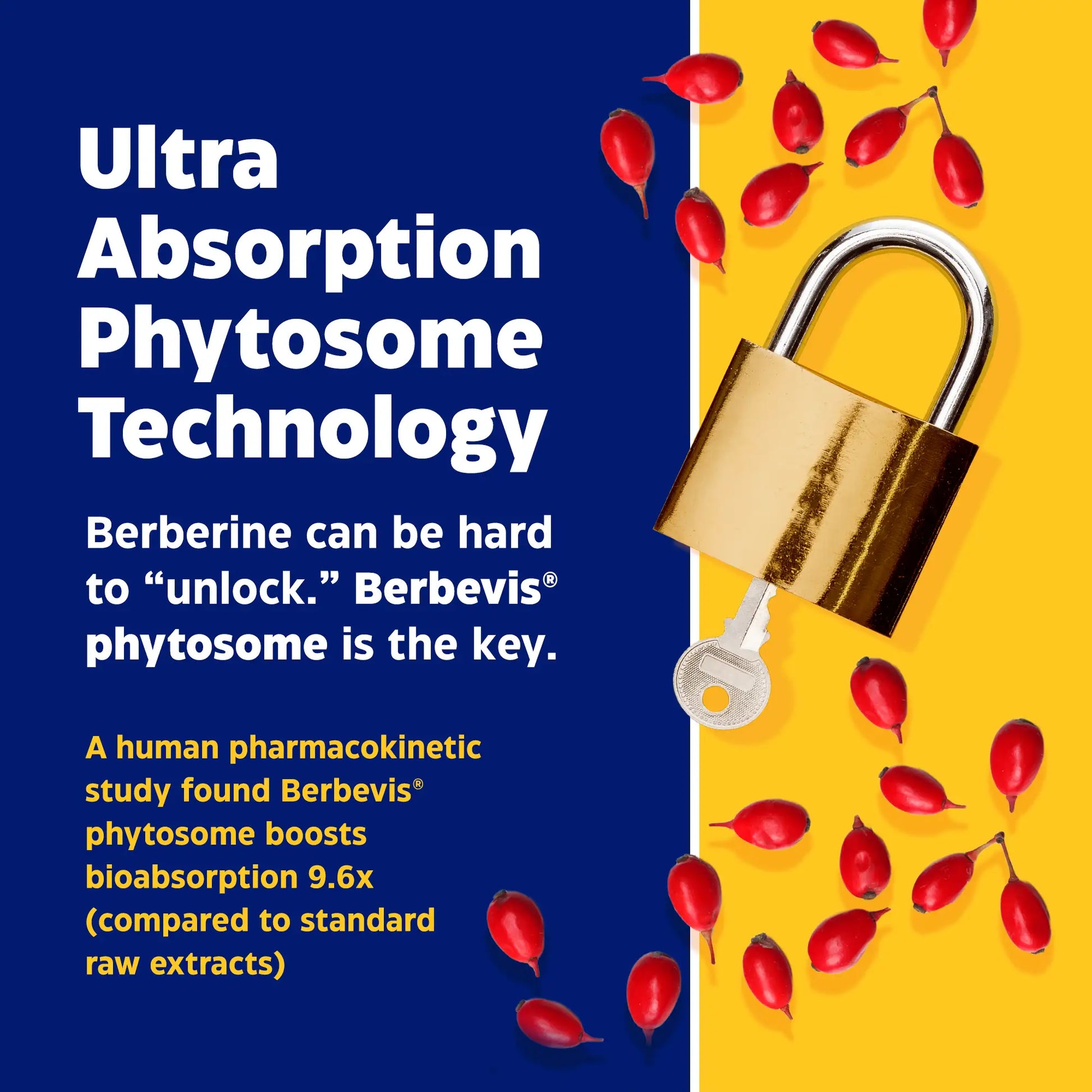advertisement for berberine phytosome, ultra absorption phytosome technology