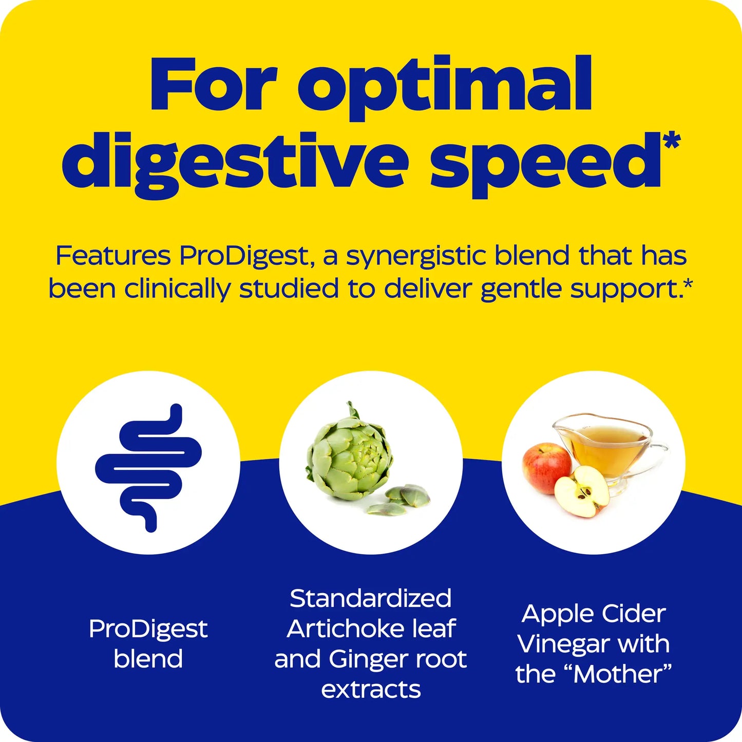 Optimal digestive speed with enzymedica products