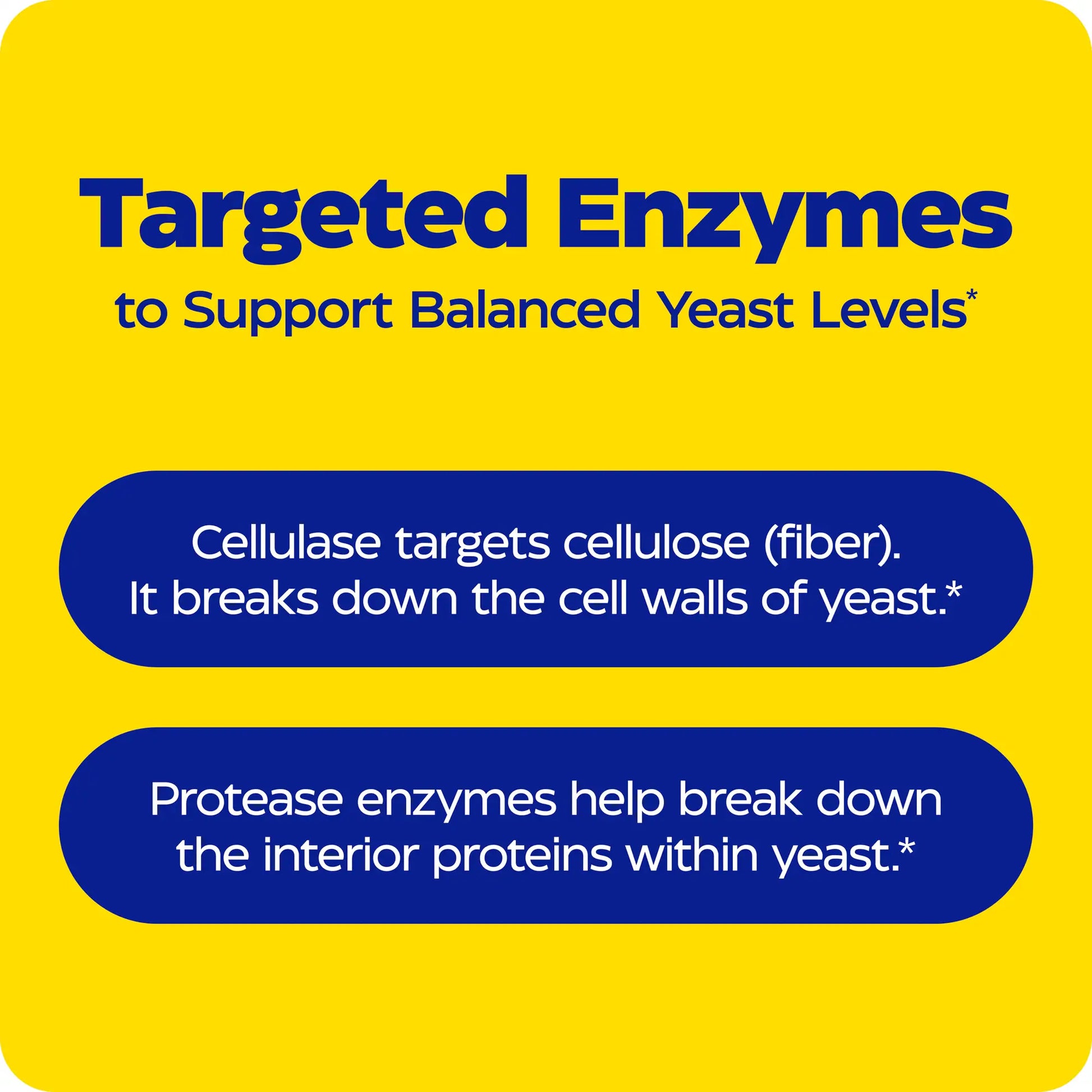 advertisement for candidase, targeted enzymes