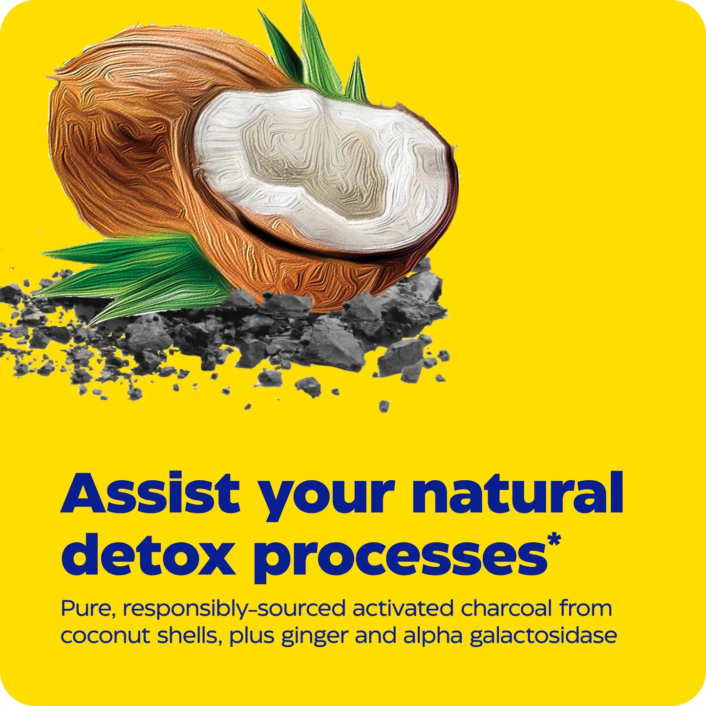 advertisement for activated charcoal, assist your natural detox processes