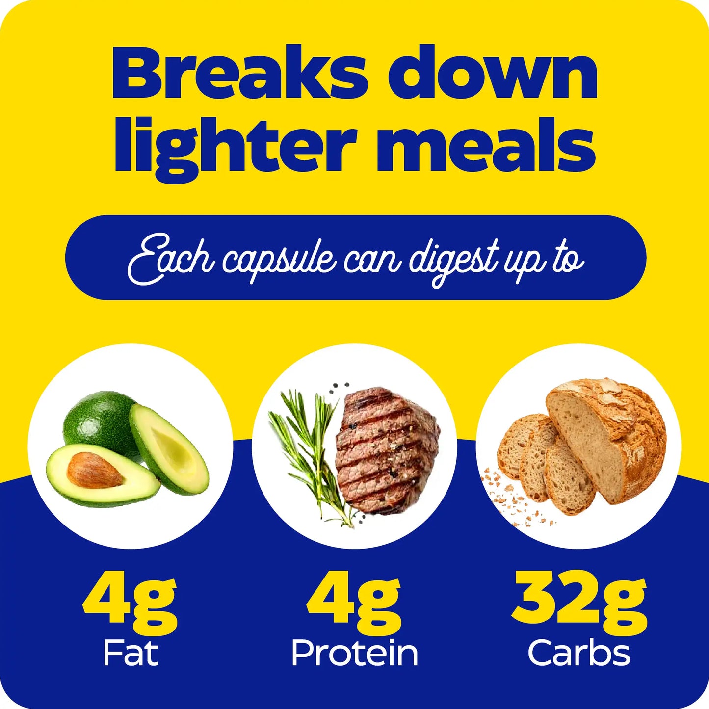 what each capsule of digest basic can digest up to