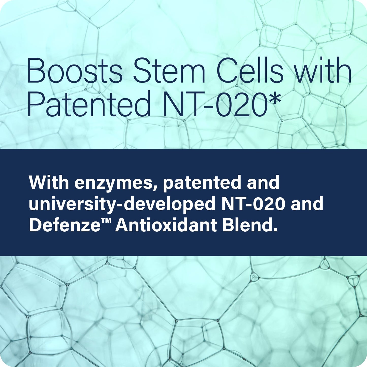 Advertisement for ES Stem XCell and how it boosts stem cells with patented NT-020