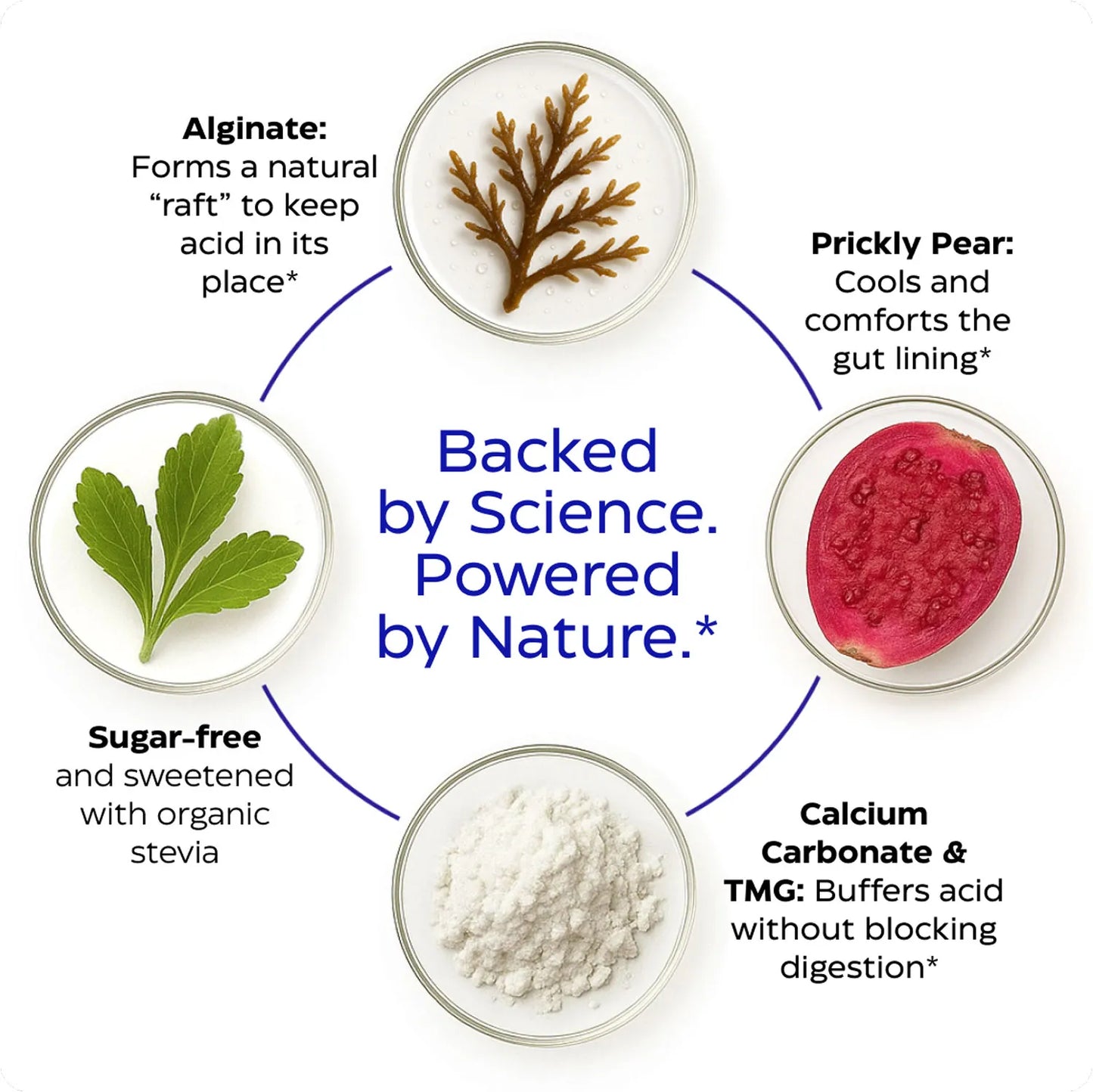 Illustration of natural ingredients and their benefits with text on a white background