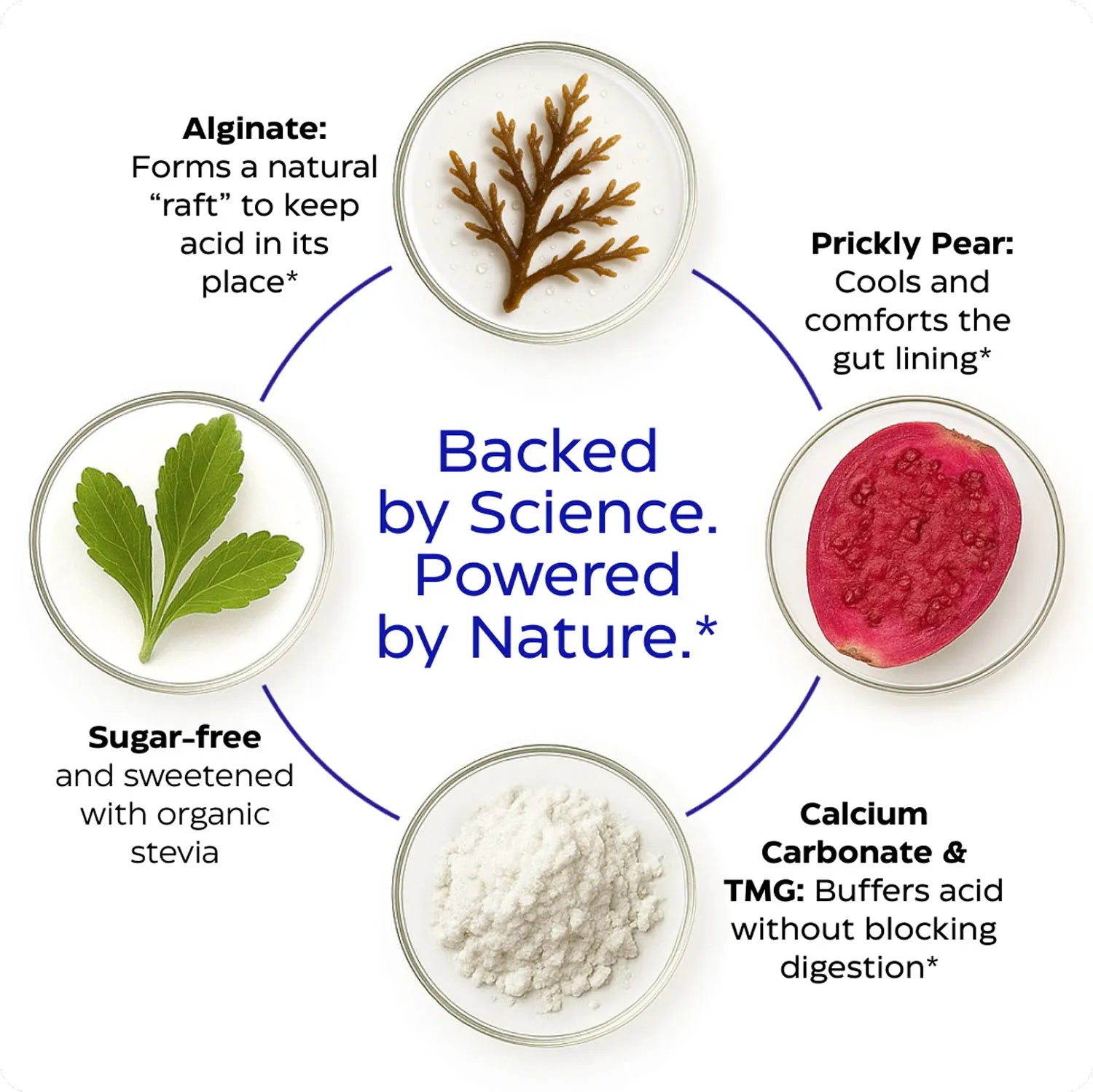 Illustration of natural ingredients and their benefits with text on a white background