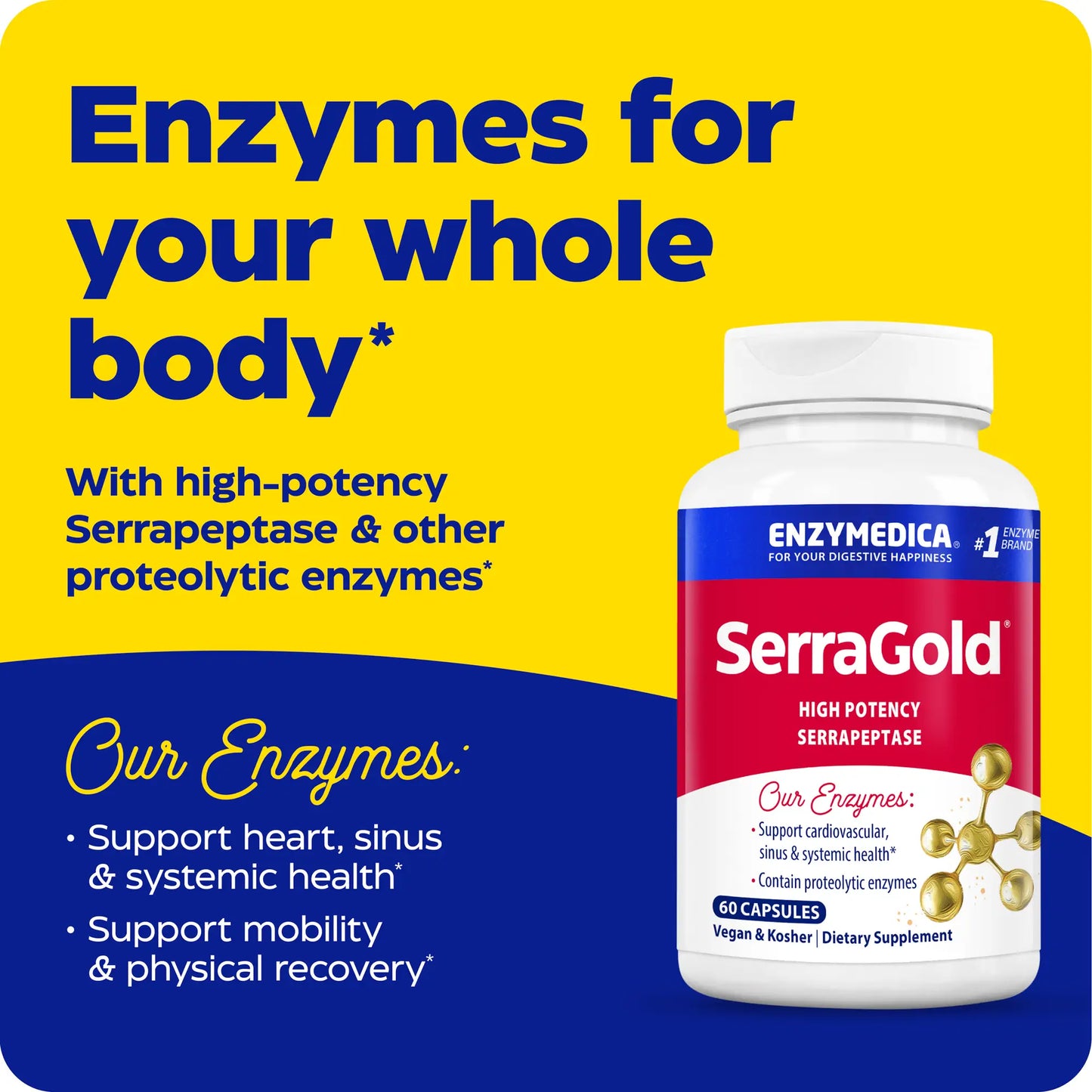 Advertisement for SerraGold, enzymes for your whole body