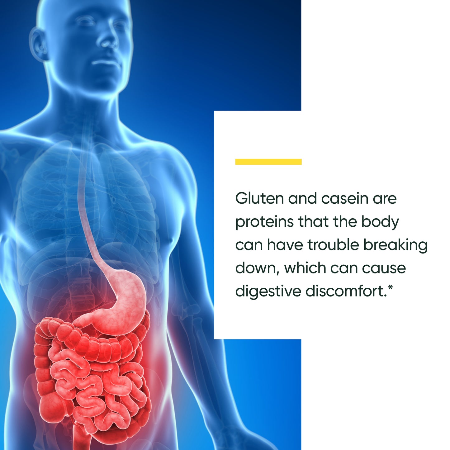 GlutenEase® Extra Strength