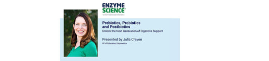 Gut Integrity Essentials: The Synergistic Link Between Enzymes, Fiber, and Probiotics