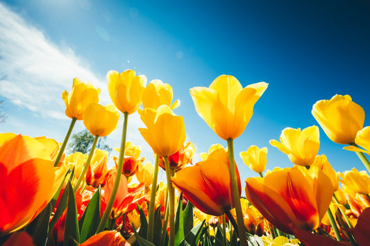 Tips for Patients: How to Spring Clean Your Habits