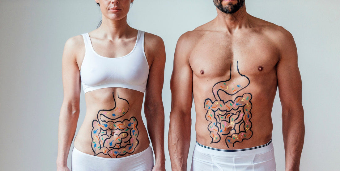 A ‘Biotics’ Primer: Pre-, Pro-, and Postbiotics