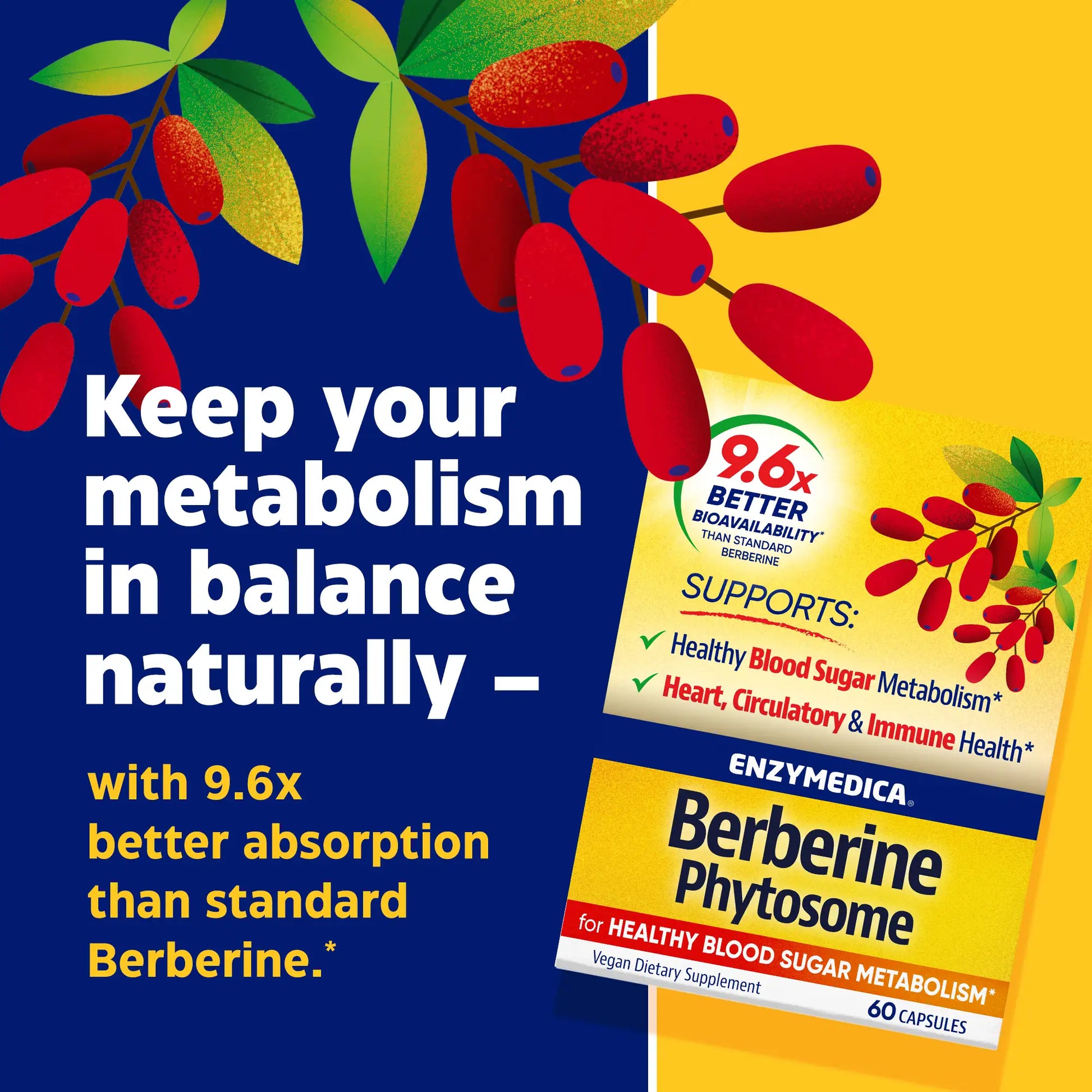 advertisement for berberine phytosome, keep your metabolism in balance naturally