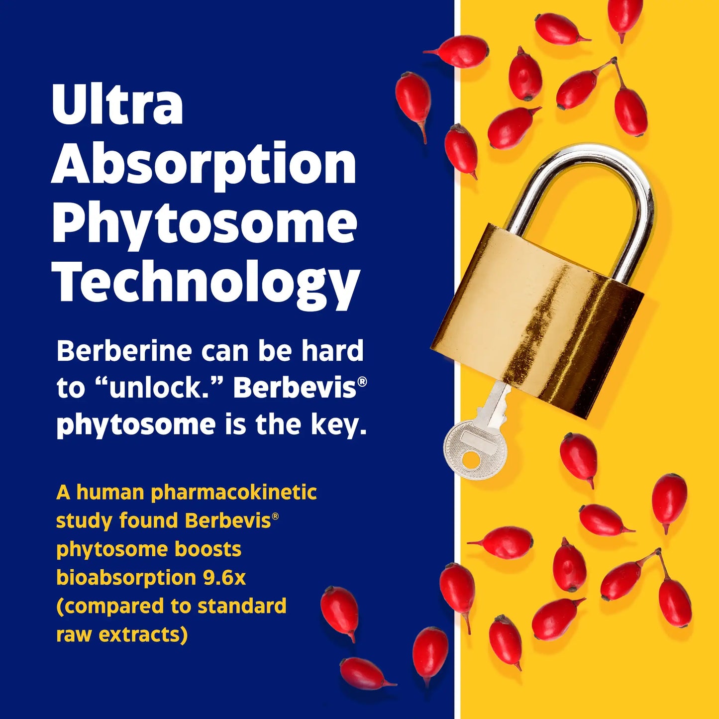 advertisement for berberine phytosome, ultra absorption phytosome technology
