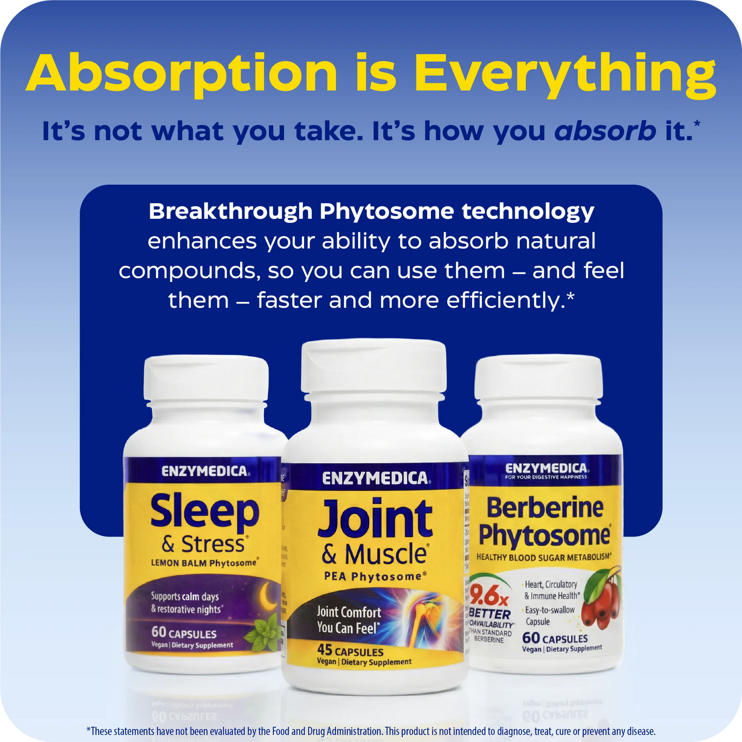 Sleep & Stress Lemon Balm Phytosome®