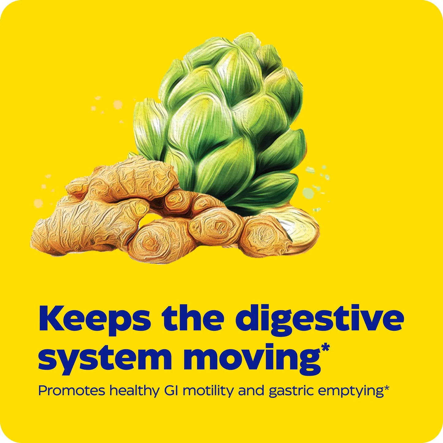 Enymedica products keeps the digestive system moving