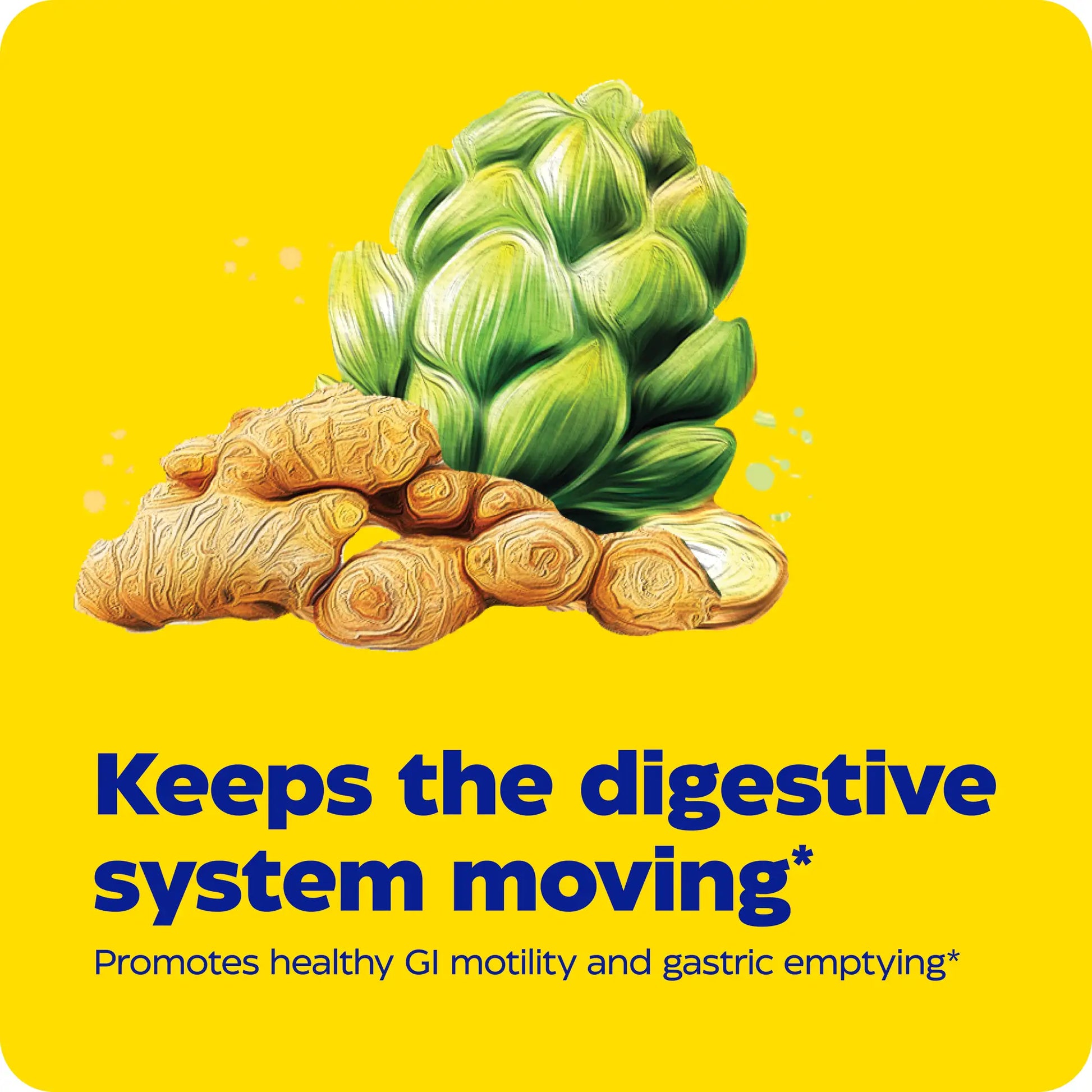 Enymedica products keeps the digestive system moving