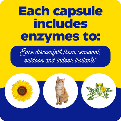 what each capsule of allerase contains