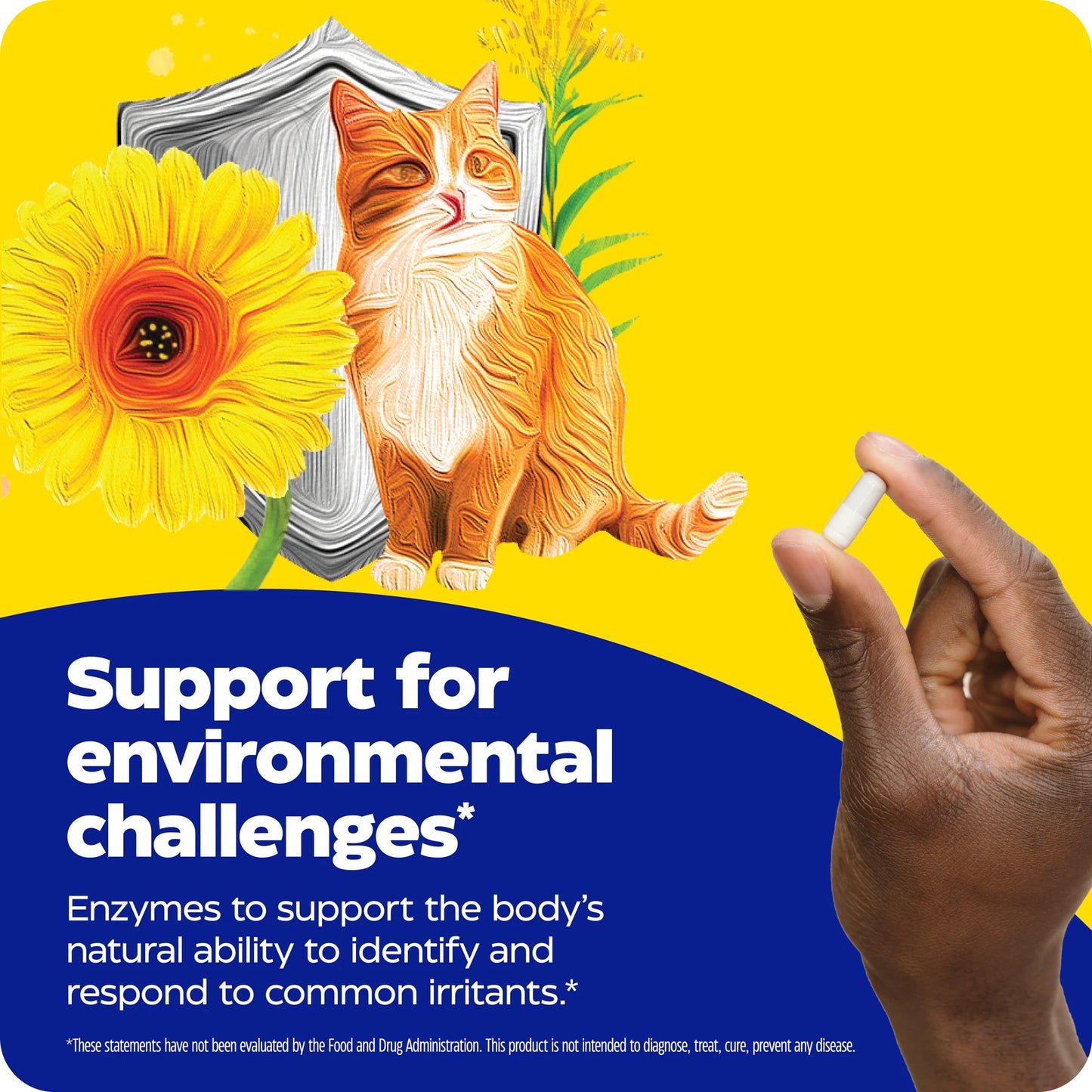 advertisement for allerase