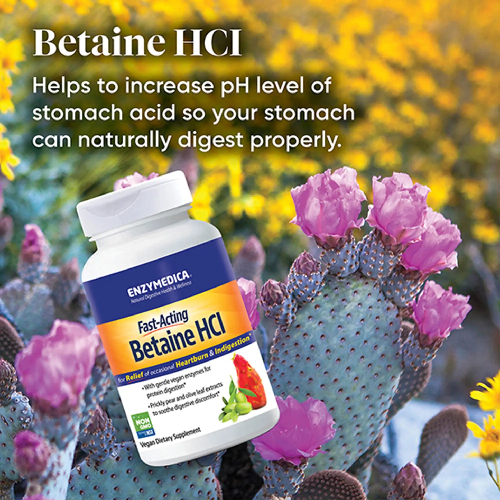 advertisement for betaine