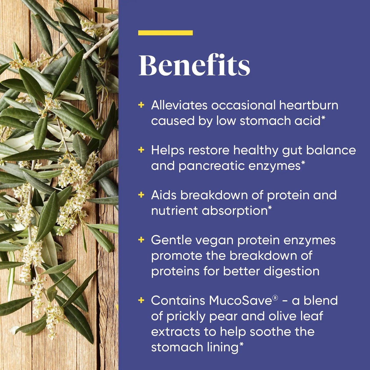 the benefits of betaine