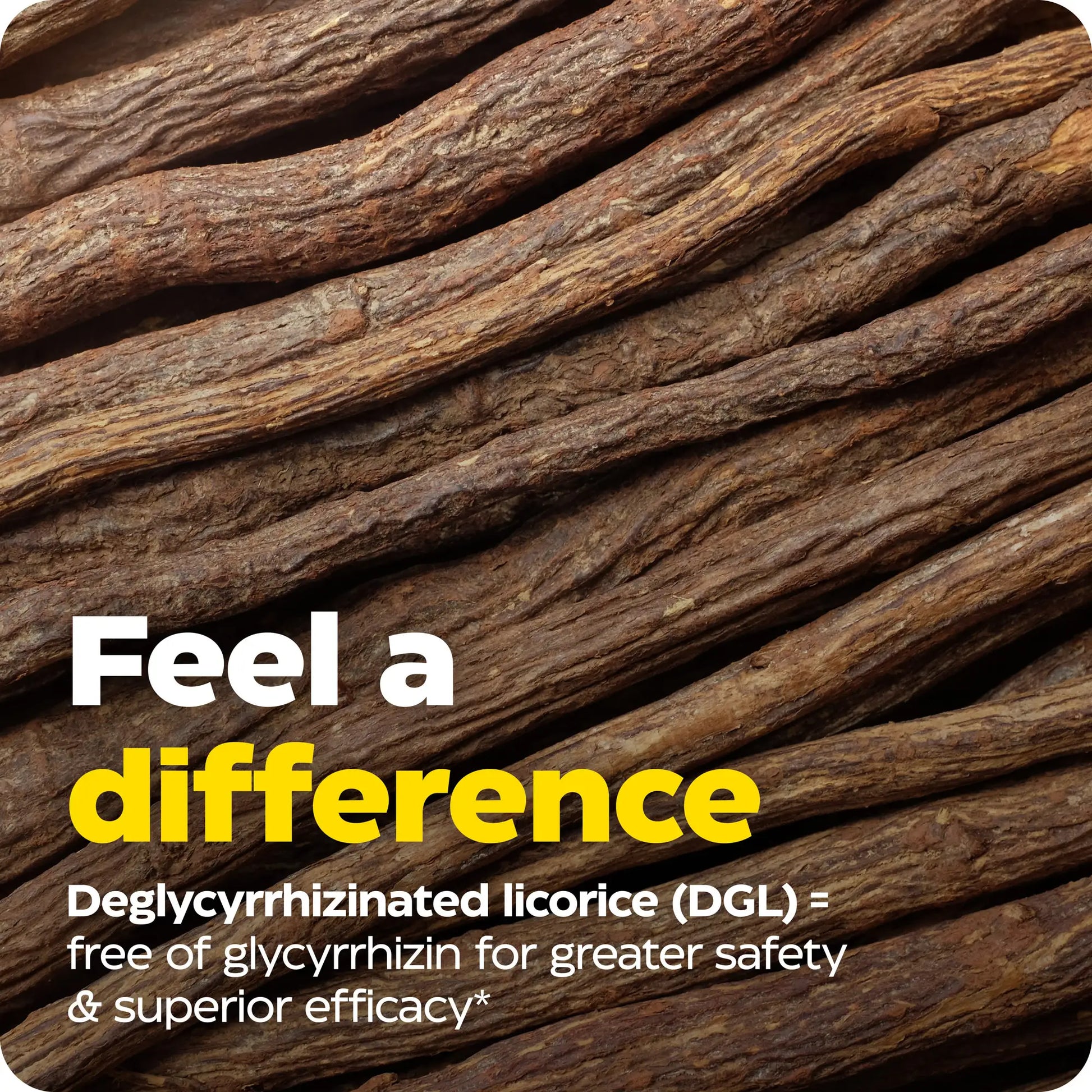 feel a difference with enzymedica products