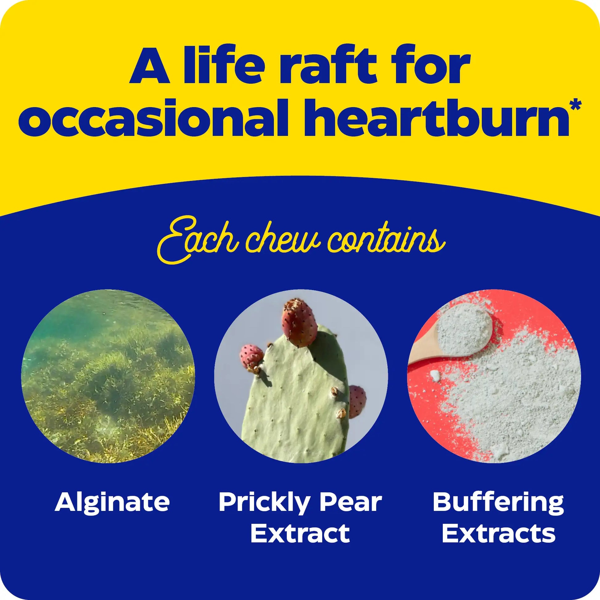 what each chew contains for heartburn soothe chewable