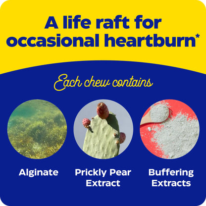 what each chew contains for heartburn soothe chewable