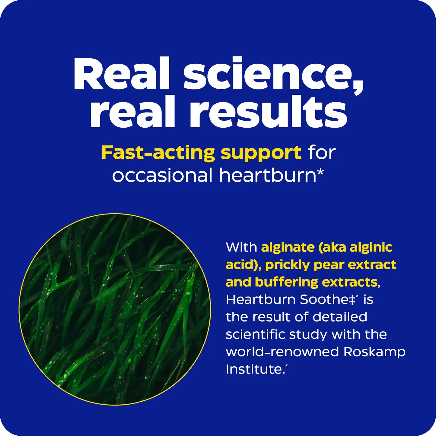 the real science and real results for enzymedica products