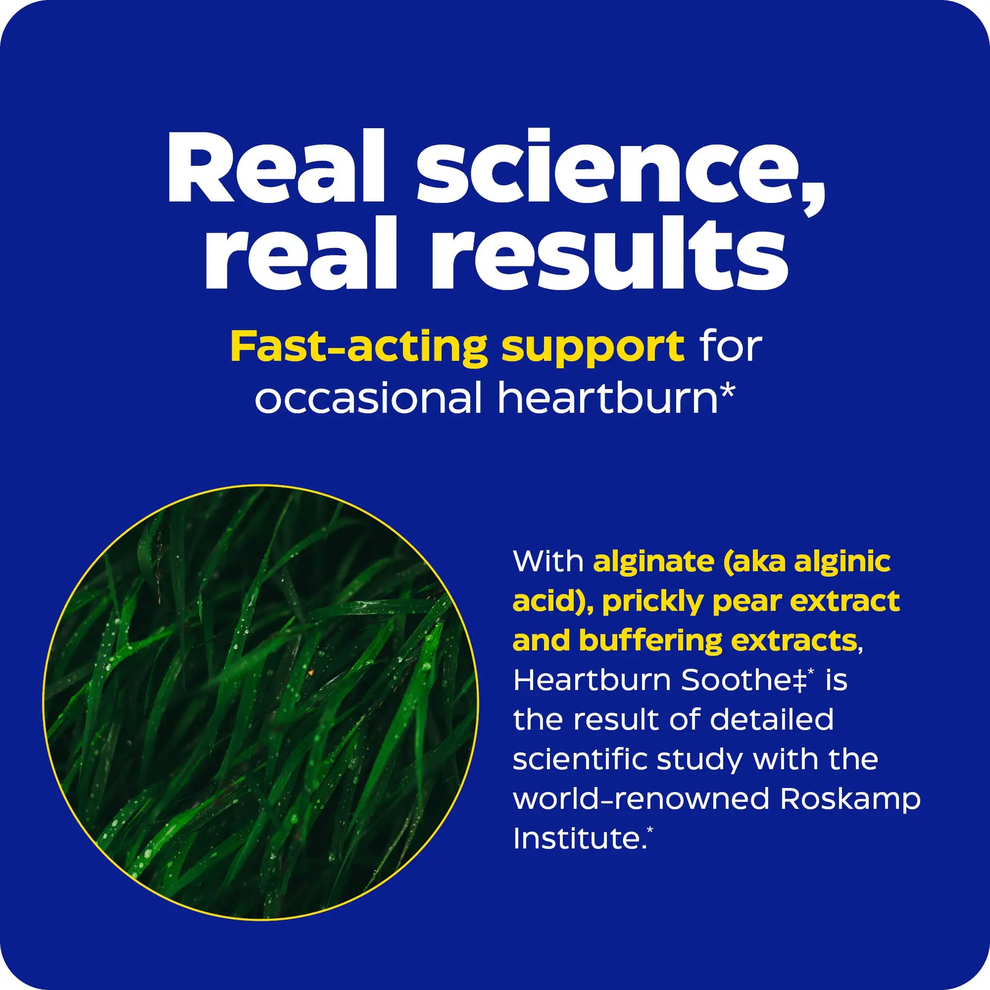 the real science and real results for enzymedica products