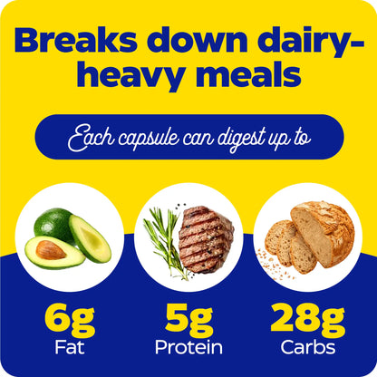 what each capsule of lacto can digest up to