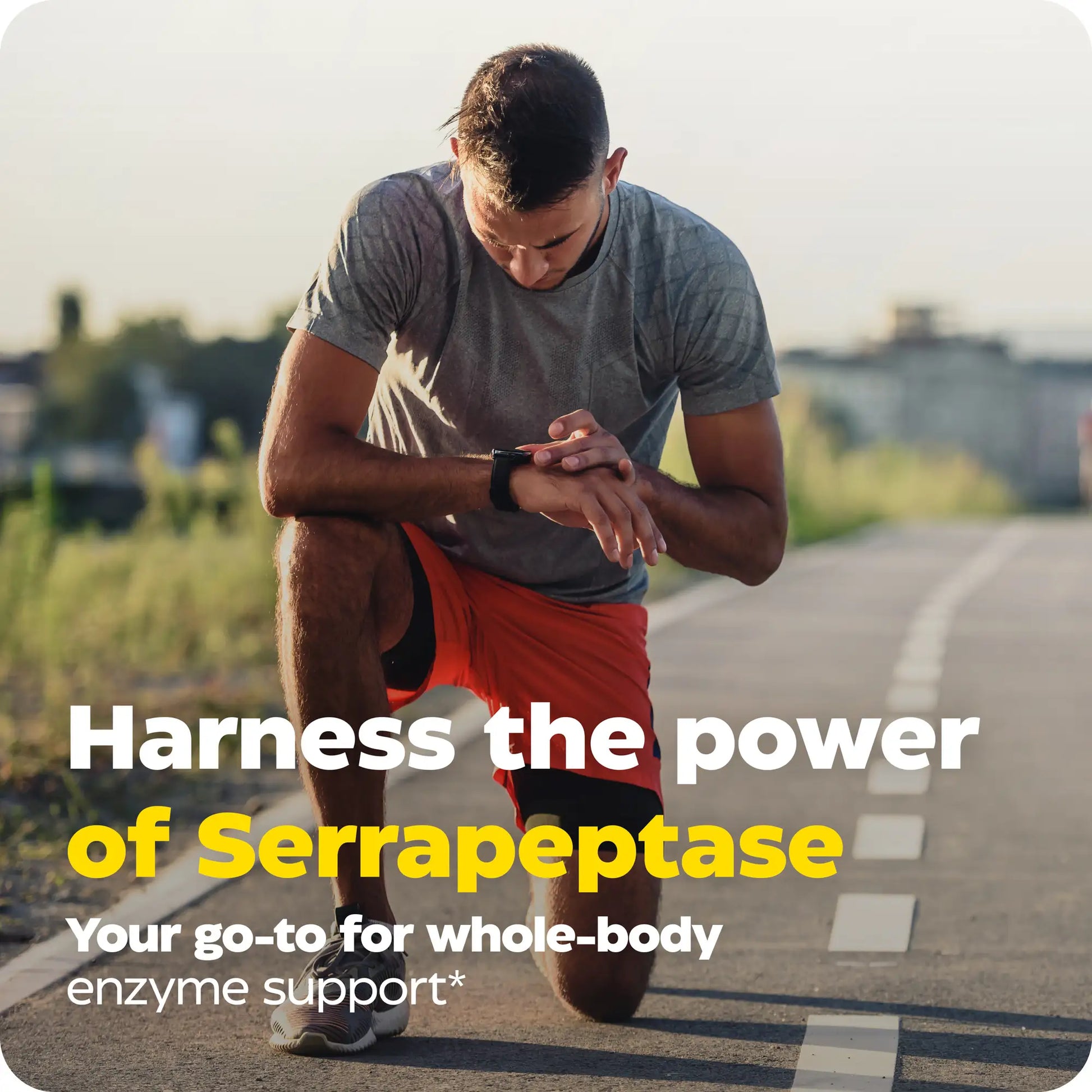Advertisement for SerraGold, harness the power of Serrapeptase