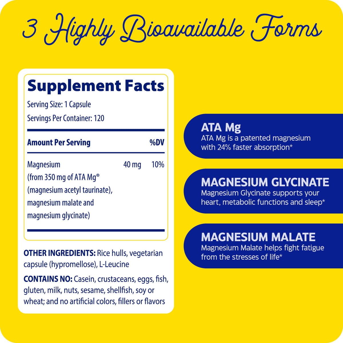 Magnesium Motion