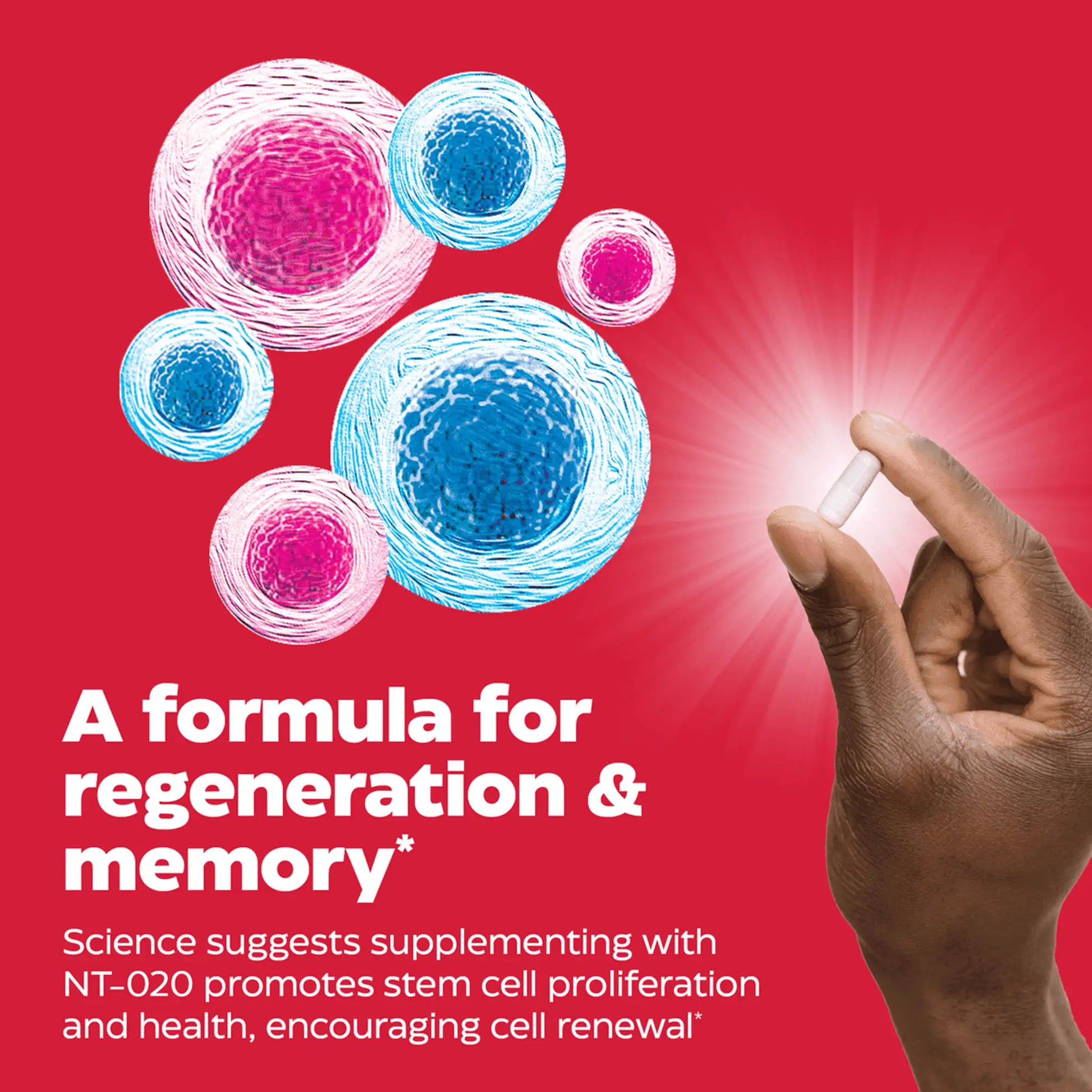 advertisement for stem xcell, a formula for regenertaion and memory