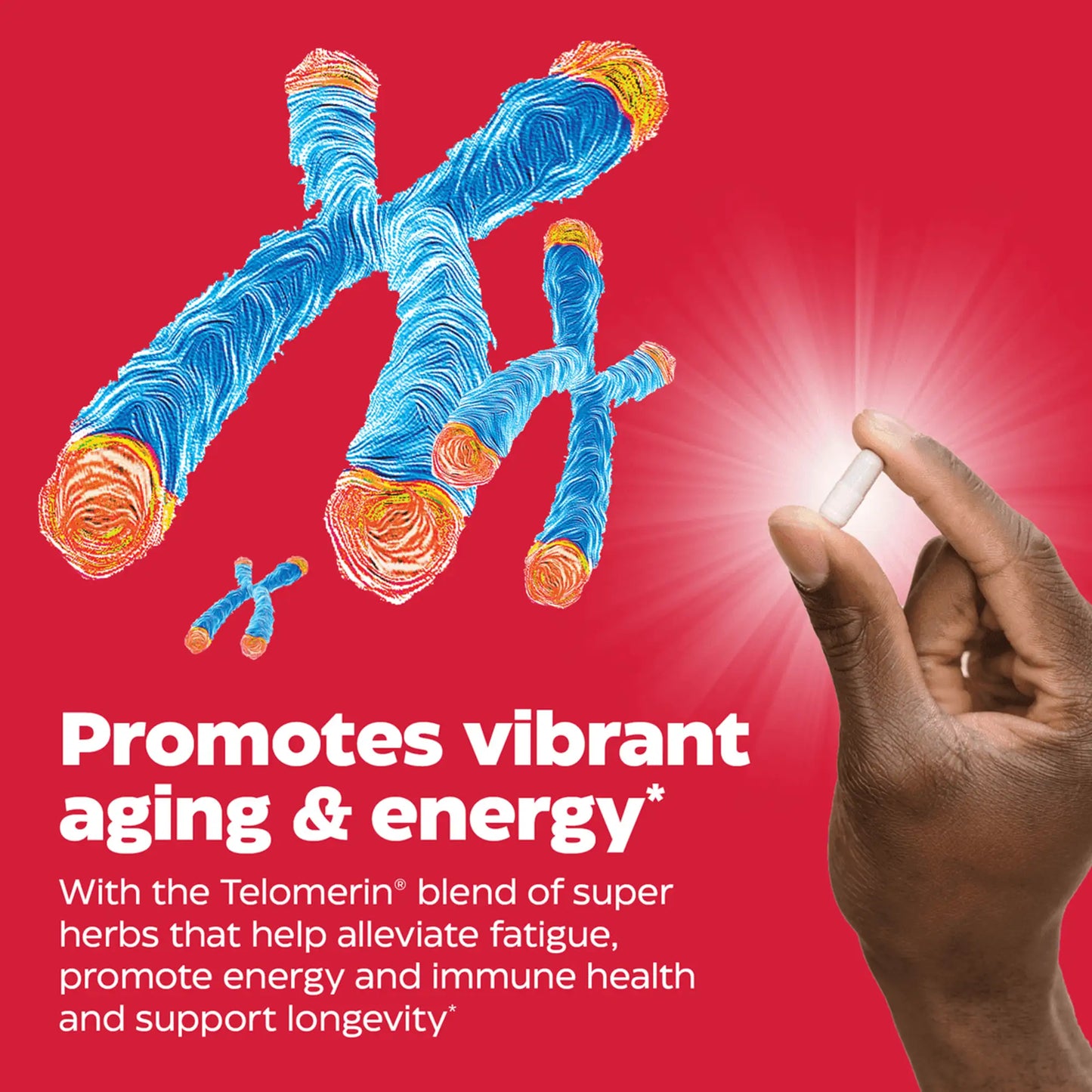 Advertisement for telomere plus, promotes vibrant aging and energy.